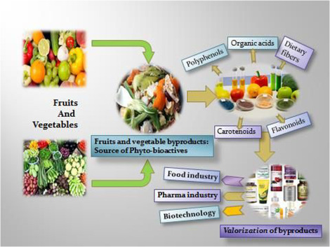 Novel Ingredients in Food: Advances and Application