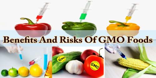 Exploring Genetically Modified Organisms (GMOs) in Food: Current Research and Controversies