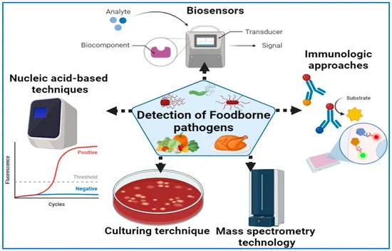 Foodborne Illness Outbreaks: Understanding Causes and Preventive Measures